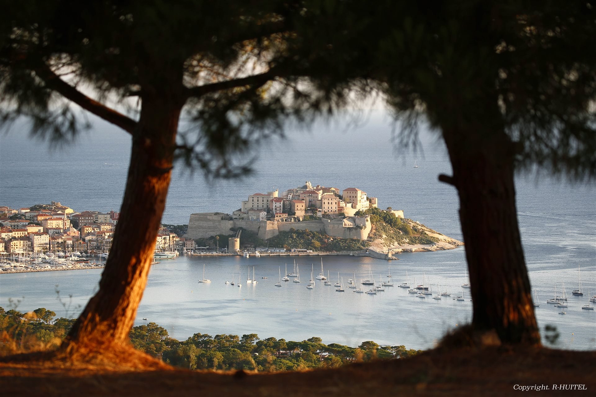 Calvi et alentours